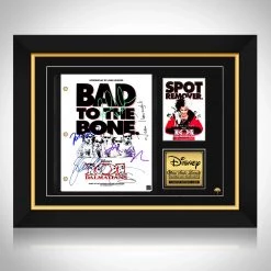 RARE-T 101 Dalmatians Transcript Limited Signature Edition Studio Licensed Custom Frame