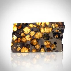 RARE-T Meteorite - Authentic Brahin Pallasite Meteorite Custom Museum Display