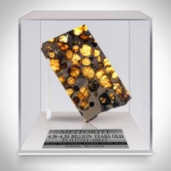 RARE-T Meteorite - Authentic Brahin Pallasite Meteorite Custom Museum Display