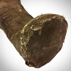 RARE-T Authentic, Oversized Xl Carved Ushabti Tomb Statue Dating From 664-525 Bc Ancient Artifacts