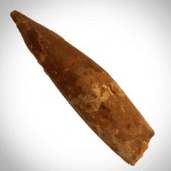 RARE-T Spinosaurus Tooth - 97 Million Years Old Spinosaurus Tooth 2"- 4" Inches Long Custom Museum Display Ancient Artifacts 8 RARE-T Spinosaurus Tooth - 97 Million Years Old Spinosaurus Tooth 2