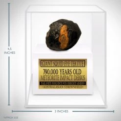 RARE-T Meteorite Authentic Giant Squid Eye Tektite Museum Display