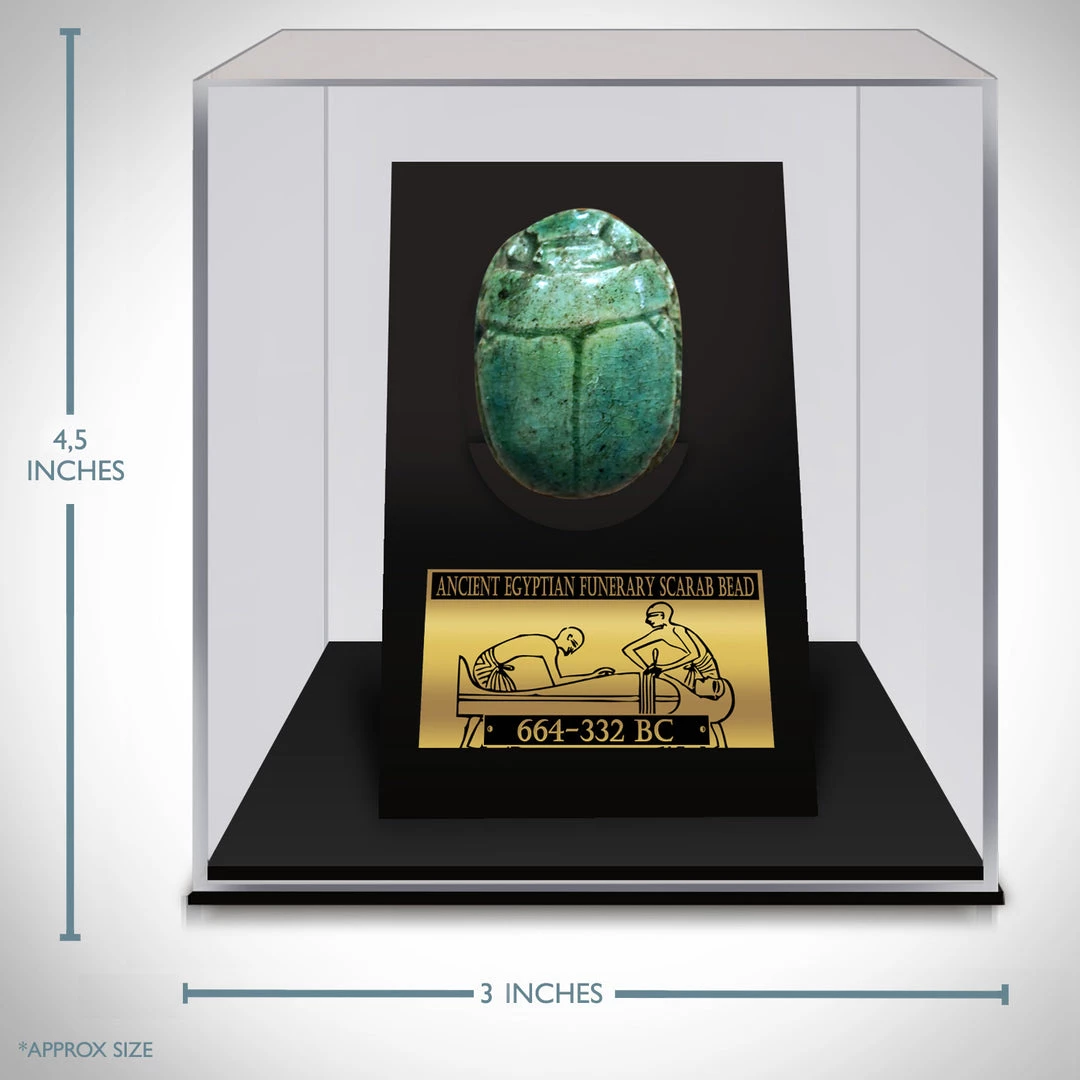 Best Of Egypt Funerary Scarab Bead - Glazed Steatite Funerary Scarab Bead From 664-332 BC Custom Museum Display 4 Best Of Egypt Funerary Scarab Bead - Glazed Steatite Funerary Scarab Bead From 664-332 BC Custom Museum Display