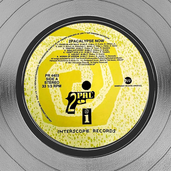 RARE-T 2Pac 2pacalypse Now Platinum LP Limited Signature Edition Studio Licensed Custom Frame 3 RARE-T 2Pac 2pacalypse Now Platinum LP Limited Signature Edition Studio Licensed Custom Frame