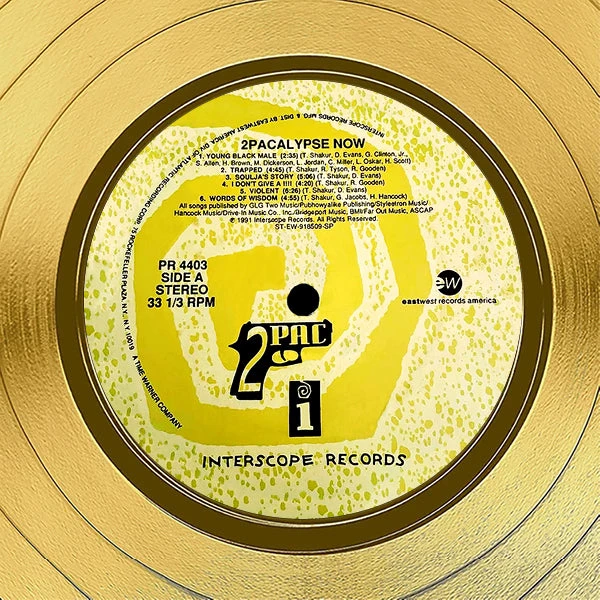 RARE-T 2Pac - 2pacalypse Now Gold LP Limited Signature Edition Studio Licensed Custom Frame Limited Edition Frames 5 RARE-T 2Pac - 2pacalypse Now Gold LP Limited Signature Edition Studio Licensed Custom Frame Limited Edition Frames