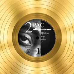 RARE-T Limited Edition Frames 2 PAC All Eyez On Me Gold LP Limited Signature Edition Studio Licensed Custom Frame