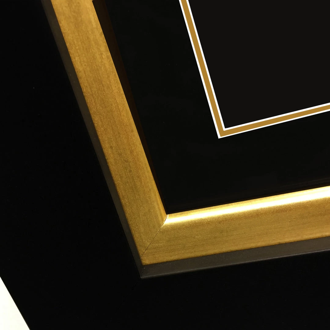 RARE-T Limited Edition Frames The Pixies - Doolittle Gold LP Limited Signature Edition Studio Licensed Custom Frame 10 RARE-T Limited Edition Frames The Pixies - Doolittle Gold LP Limited Signature Edition Studio Licensed Custom Frame