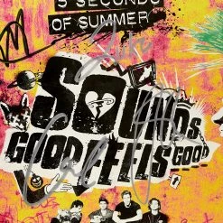 RARE-T 5 Seconds Of Summer Sounds Good Feels Good Gold LP Limited Signature Edition Studio Licensed Custom Frame
