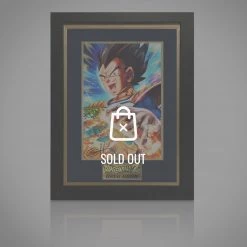 VAULT COLLECTIBLES Dragon Ball Z Original Artwork Print Hand Signed By Greg Horn Rare-T Exclusive Custom Frame Signed Memorabilia