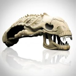 Grosnor 'Aliens - Lifesize Alien Skull' Statue