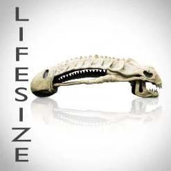 Grosnor 'Aliens - Lifesize Alien Skull' Statue