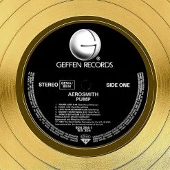 RARE-T Limited Edition Frames Aerosmith Pump Gold LP Limited Signature Edition Studio Licensed Custom Frame