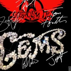 RARE-T Aerosmith Gems Gold LP Limited Signature Edition Studio Licensed Custom Frame