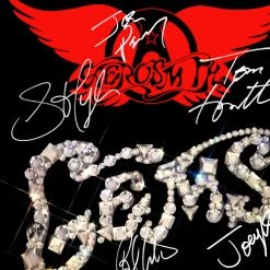 Rare-T Limited Edition Frames Aerosmith 'Gems' Limited Signature Edition Studio Licensed Platinum LP Custom Frame