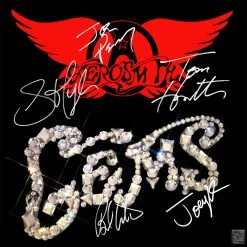 Rare-T Limited Edition Frames Aerosmith 'Gems' Limited Signature Edition Studio Licensed Platinum LP Custom Frame