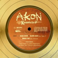 RARE-T Akon - Konvicted Gold LP Limited Signature Edition Studio Licensed Custom Frame