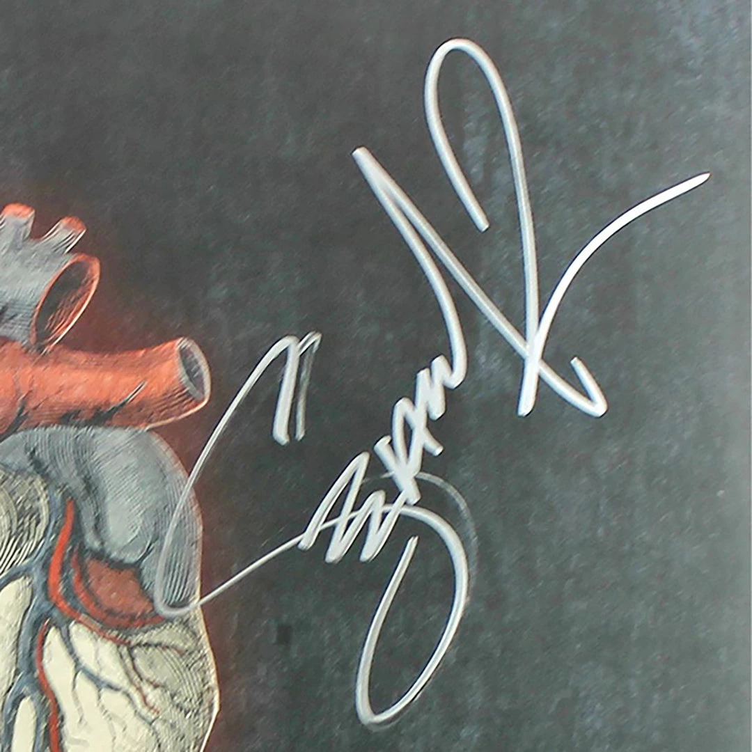 RARE-T Alice In Chains - Black Gives Way To Blue LP Cover Limited Signature Edition Studio Licensed Custom Frame 4 RARE-T Alice In Chains - Black Gives Way To Blue LP Cover Limited Signature Edition Studio Licensed Custom Frame