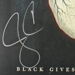 Rare-T Limited Edition Frames Alice In Chains - Black Gives Way To Blue Platinum LP Limited Signature Edition Studio Licensed Custom Frame 17 Rare-T Limited Edition Frames Alice In Chains - Black Gives Way To Blue Platinum LP Limited Signature Edition Studio Licensed Custom Frame