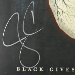 RARE-T Alice In Chains - Black Gives Way To Blue LP Cover Limited Signature Edition Studio Licensed Custom Frame 14 RARE-T Alice In Chains - Black Gives Way To Blue LP Cover Limited Signature Edition Studio Licensed Custom Frame