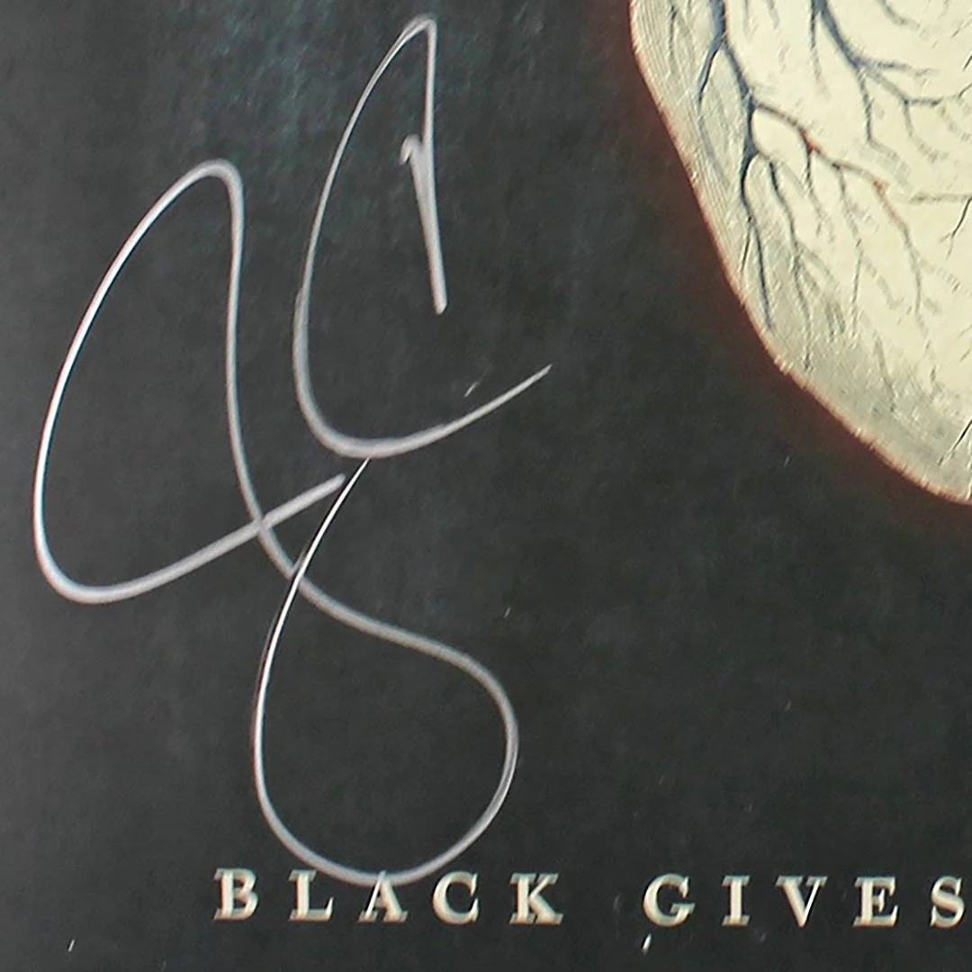 RARE-T Alice In Chains - Black Gives Way To Blue LP Cover Limited Signature Edition Studio Licensed Custom Frame 6 RARE-T Alice In Chains - Black Gives Way To Blue LP Cover Limited Signature Edition Studio Licensed Custom Frame