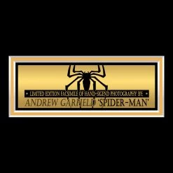 RARE-T The Amazing Spider-Man Photo Limited Signature Edition Studio Licensed Custom Frame 13 RARE-T The Amazing Spider-Man Photo Limited Signature Edition Studio Licensed Custom Frame