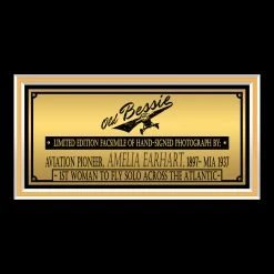 RARE-T Amelia Earhart Photo Limited Signature Edition Licensed Custom Frame Limited Edition Frames