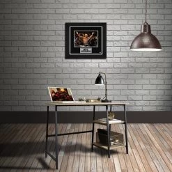 RARE-T Anderson Silva Photo Limited Signature Edition Studio Licensed Custom Frame Sports Memorabilia