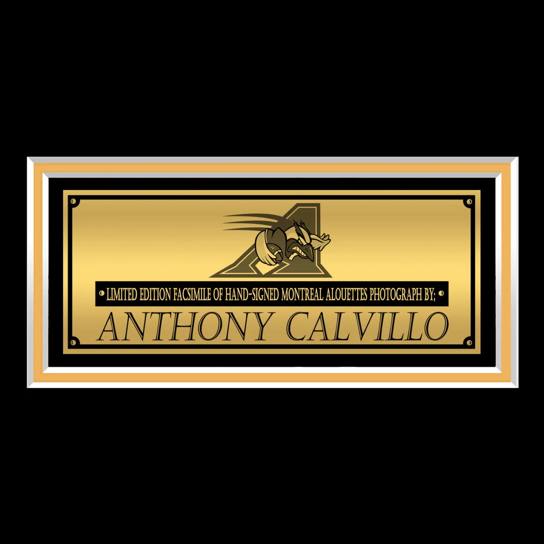 RARE-T Montreal Alouettes - Anthony Calvillo Photo Limited Signature Edition Studio Licensed Custom Frame Sports Memorabilia 5 RARE-T Montreal Alouettes - Anthony Calvillo Photo Limited Signature Edition Studio Licensed Custom Frame Sports Memorabilia