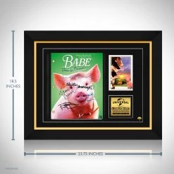 RARE-T Babe Transcript Limited Signature Edition Studio Licensed Custom Frame Limited Edition Frames