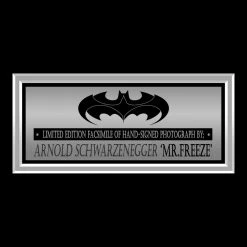 RARE-T Batman & Robin - Mr Freeze Photo Limited Signature Edition Studio Licensed Custom Frame Limited Edition Frames
