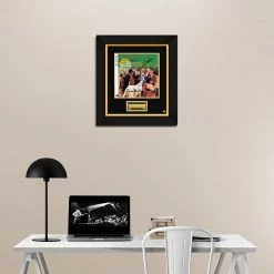 RARE-T Limited Edition Frames The Beach Boys - Pet Sounds LP Cover Limited Signature Edition Studio Licensed Custom Frame