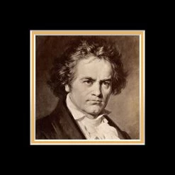 RARE-T Ludwig Van Beethoven Memorial Music Sheet Limited Signature Edition Licensed Custom Frame Limited Edition Frames