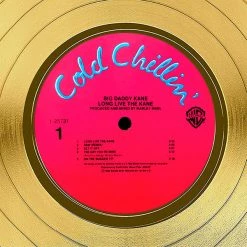 RARE-T Big Daddy Kane Long Live The Kane Gold LP Limited Signature Edition Studio Licensed Custom Frame