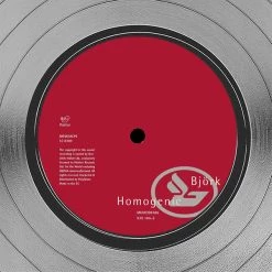 RARE-T Bjork - Homogenic Platinum LP Limited Signature Edition Studio Licensed Custom Frame Limited Edition Frames