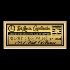 RARE-T St. Louis Cardinals - Bobby Gibson Photo Limited Signature Edition Licensed Custom Frame 11 RARE-T St. Louis Cardinals - Bobby Gibson Photo Limited Signature Edition Licensed Custom Frame