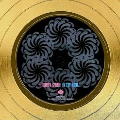 RARE-T Britney Spears In The Zone Gold LP Limited Signature Edition Studio Licensed Custom Frame 12 RARE-T Britney Spears In The Zone Gold LP Limited Signature Edition Studio Licensed Custom Frame