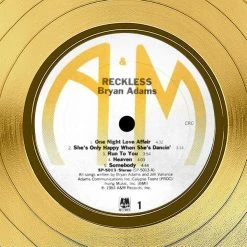 Rare-T Limited Edition Frames Bryan Adams - Reckless Gold LP Limited Signature Edition Studio Licensed Custom Frame