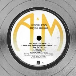 Rare-T Limited Edition Frames Bryan Adams Reckless Platinum LP Limited Signature Edition Studio Licensed Custom Frame