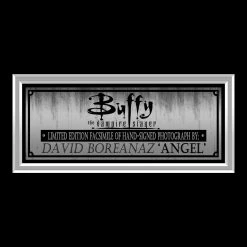 RARE-T Limited Edition Frames Buffy The Vampire Slayer - Angel Photo Limited Signature Edition Studio Licensed Custom Frame