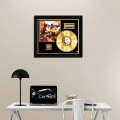 RARE-T Busta Rhymes - Extinction Level Event Gold LP Limited Signature Edition Studio Licensed Custom Frame