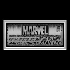 RARE-T Limited Edition Frames Luke Cage #1 - Stan Lee Limited Signature Edition Comic Book Cover Art Custom Frame