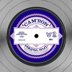 RARE-T Limited Edition Frames Cam'ron - Purple Haze Platinum LP Limited Signature Edition Studio Licensed Custom Frame