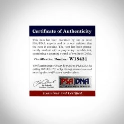 PPC Signed Memorabilia Captain America- Psa/Dna & Excelsior Certified Hand-Signed Shield By Stan Lee Custom Shadowbox Frame