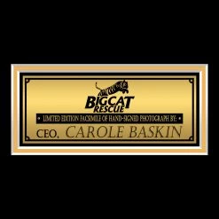 RARE-T Tiger King - Carole Baskin Photo Limited Signature Edition Studio Licensed Custom Frame 12 RARE-T Tiger King - Carole Baskin Photo Limited Signature Edition Studio Licensed Custom Frame