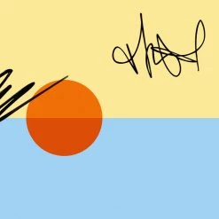 RARE-T Limited Edition Frames Childish Gambino - STN MTN / Kauai Gold LP Limited Signature Edition Studio Licensed Custom Frame