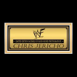 RARE-T Chris Jericho Limited Signature Edition Studio Licensed Photo Custom Frame Sports Memorabilia