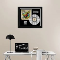 RARE-T Limited Edition Frames City And Colour - Sometimes Platinum LP Limited Signature Edition Studio Licensed Custom Frame