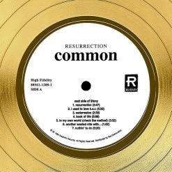 RARE-T Limited Edition Frames Common - Resurrection Gold LP Limited Signature Edition Studio Licensed Custom Frame