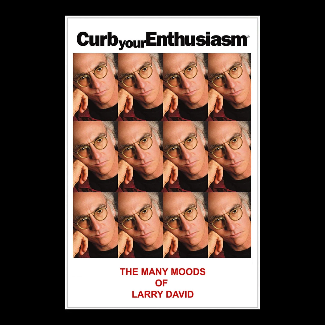 RARE-T Curb Your Enthusiasm Transcript Limited Signature Edition Studio Licensed Custom Frame 7 RARE-T Curb Your Enthusiasm Transcript Limited Signature Edition Studio Licensed Custom Frame