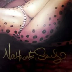 VAULT COLLECTIBLES Dc- Battle Art Print Hand-Signed By Nathan Szerdy Custom Frame